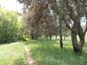 DSCN0813.JPG