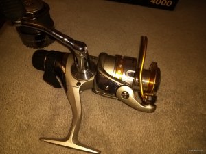 IMG_20180511_200830314.jpg