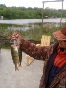 IMG_20180512_113343.jpg