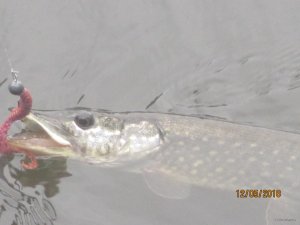 IMG_0280.JPG