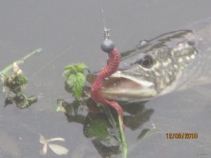 IMG_0281.JPG