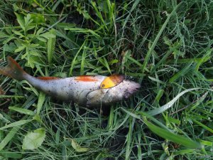 20180513_064537.jpg
