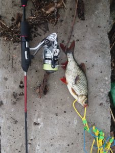 20180513_075828.jpg