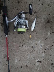 20180513_081001.jpg