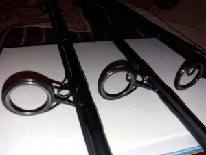 20180514_194223.jpg