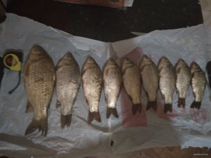IMG_20170527_202023.jpg