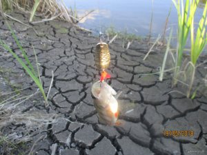 IMG_0294.JPG