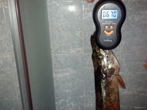 IMG_20180519_193317_196[1].jpg