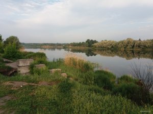 20180520_063245.jpg
