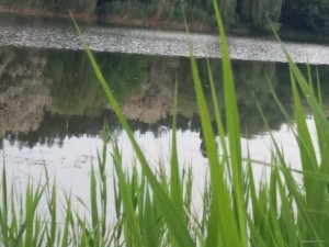 20180520_080745.jpg