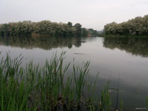 20180520_090459.jpg