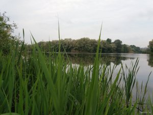 20180520_080823.jpg