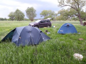 20180518_154715.jpg