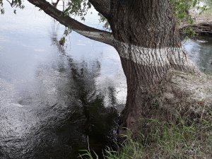 20180518_161458.jpg