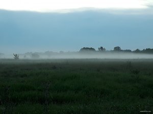 20180518_201713.jpg