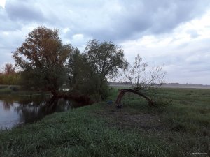 20180519_045415.jpg