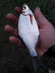 20180519_054313.jpg