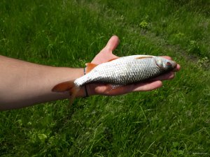 20180519_112158.jpg