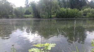 20180521_170540.jpg