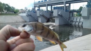 20180521_173459.jpg