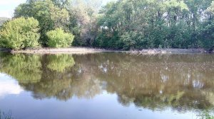 IMG_20180519_100549.jpg
