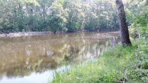 IMG_20180519_100559.jpg