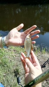 IMG_20180519_082323.jpg