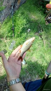 IMG_20180519_082616.jpg