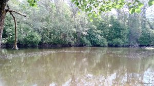 IMG_20180519_103232.jpg