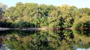 IMG_20180519_184915.jpg