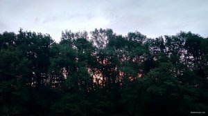 IMG_20180520_043607.jpg