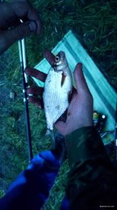 IMG_20180520_042238.jpg