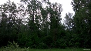IMG_20180520_080237.jpg