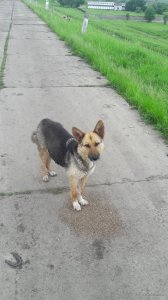 20180521_104517.jpg