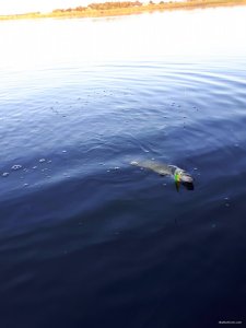 20180522_200212.jpg