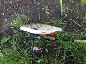 IMG_2425.JPG