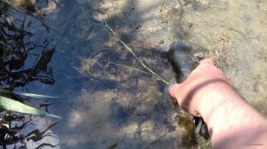 20180524_111221.jpg