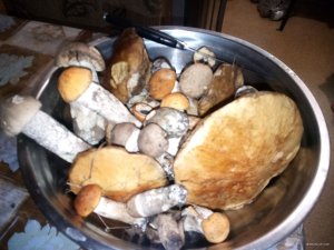 IMG_20180525_185937.jpg