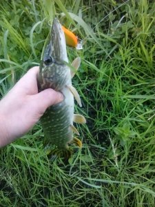 IMG_20180526_060412.jpg