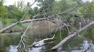 20180525_122905.jpg