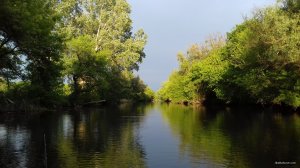 20180525_191245.jpg
