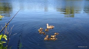 IMG_20180526_073016.jpg