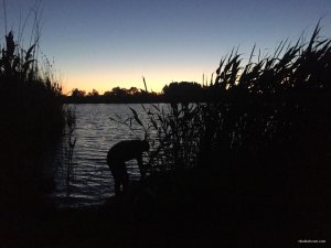 IMG_20180526_190009_683.jpg