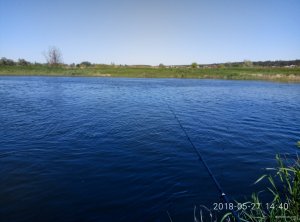 P80527-144030.jpg