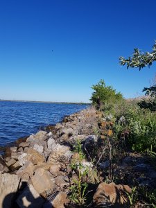20180527_073104.jpg
