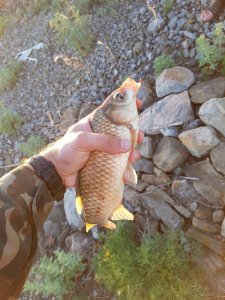 20180526_195844.jpg