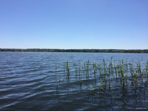 IMG_0629[1].JPG
