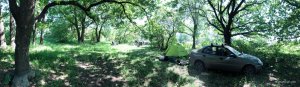 IMG_2.jpg