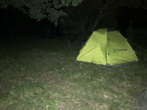 IMG_0991.JPG