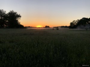 IMG_1009.JPG